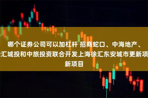 哪个证券公司可以加杠杆 招商蛇口、中海地产、徐汇城投和中旅投资联合开发上海徐汇东安城市更新项目