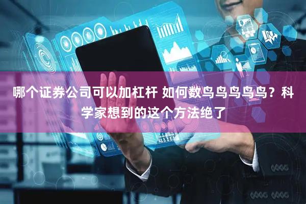 哪个证券公司可以加杠杆 如何数鸟鸟鸟鸟鸟?科学家想到的这个方法绝了