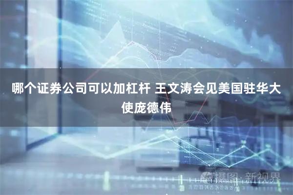 哪个证券公司可以加杠杆 王文涛会见美国驻华大使庞德伟